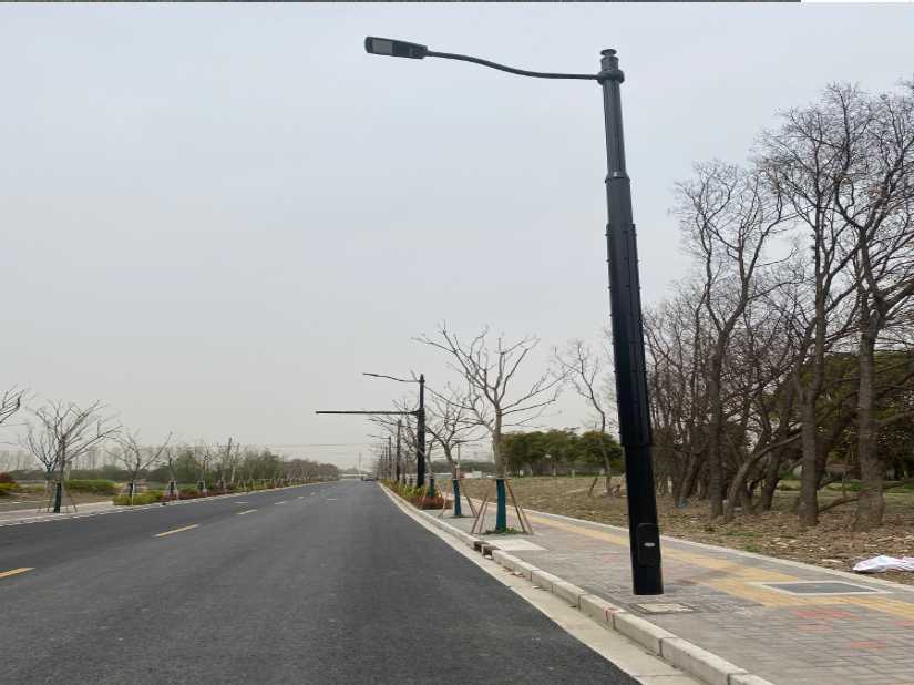 渌口区上海综合杆 太阳能路灯工程